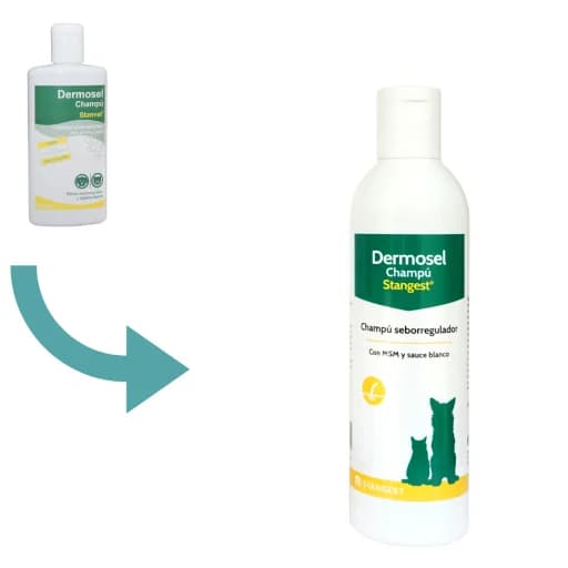 Stangest Dermosel Shampoo 250ml