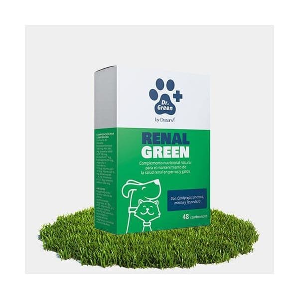 Dr. Green Renalgreen 48 comp