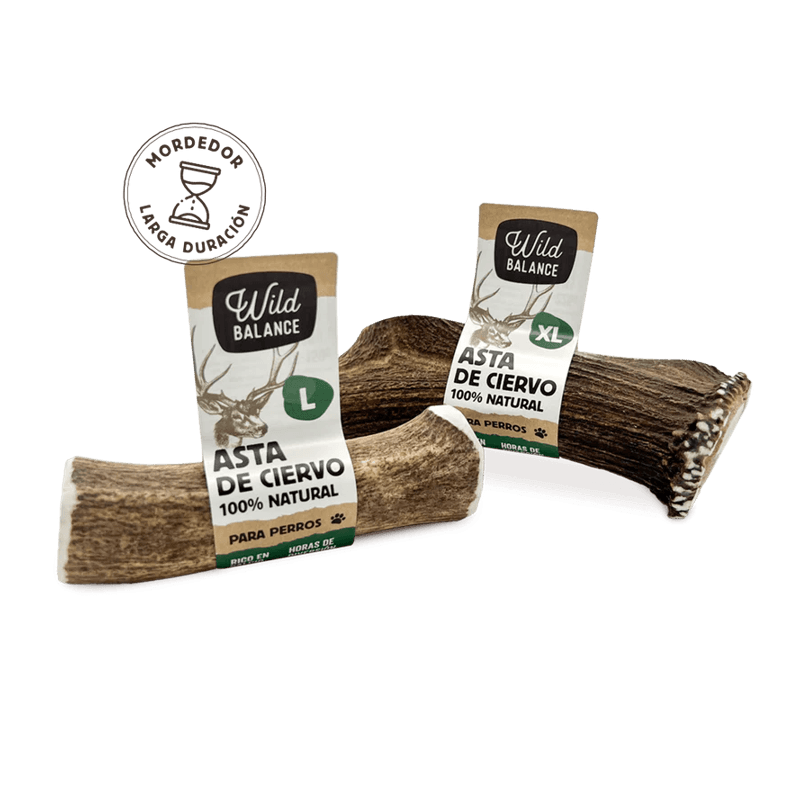 Wild Balance ASTA DE CIERVO ENTERA Mordedor Natural para perros