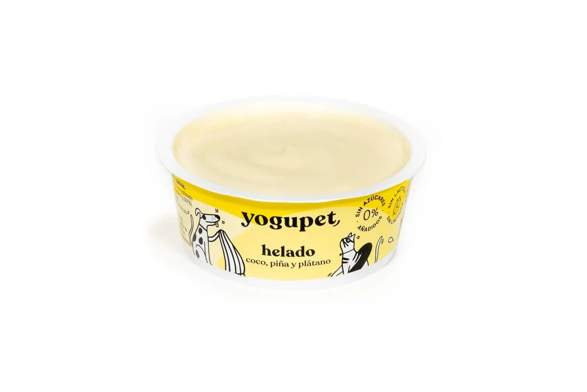 Ração Húmida Youpet Gelado Coco, Ananás e Banana 4 x 100g