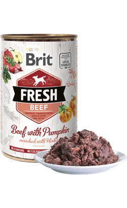 Ração Húmida Brit Fresh Beef with Pumpkin 6x 400g