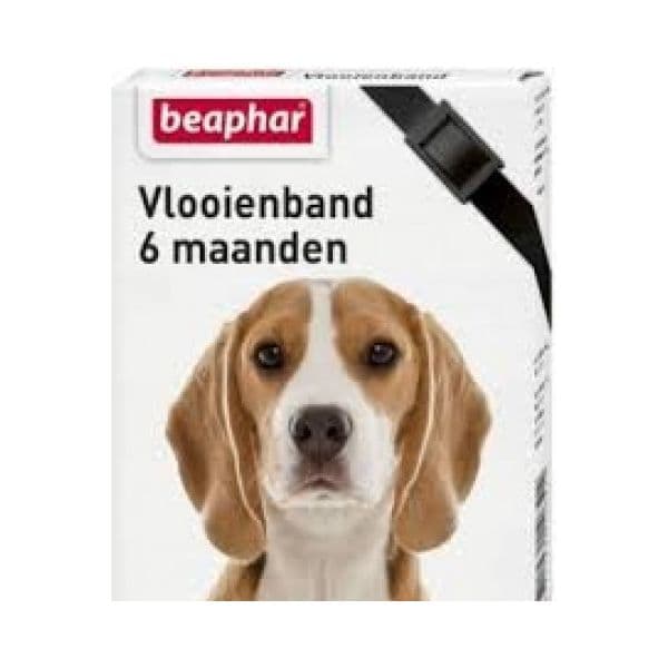 Beaphar Coleira para Cães 6 Meses de Proteção