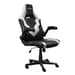 Cadeira Gaming Trust GXT 703W Riye Branco