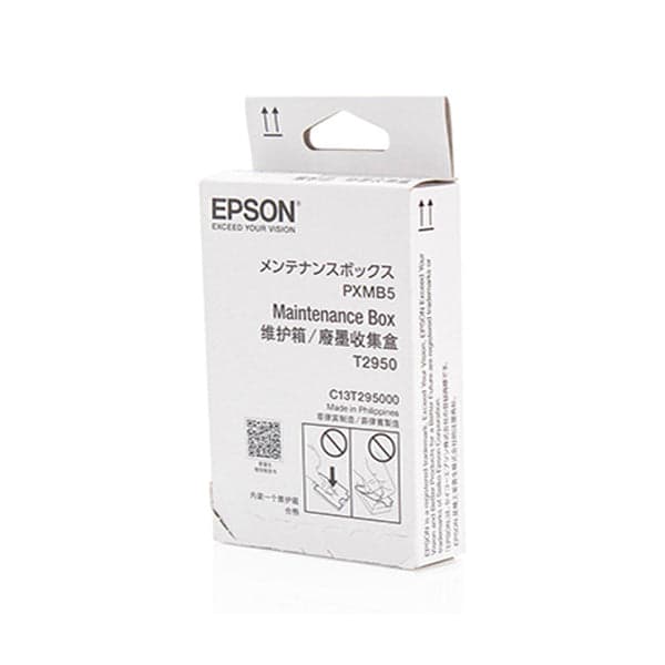 Epson Maintenance Box WF-100W - C13T295000