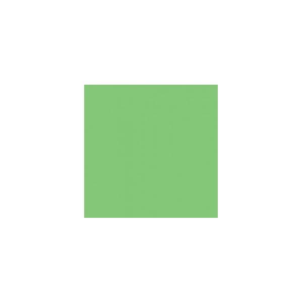 Linkstar Papel 2,72x11m Verde 73 Fundo