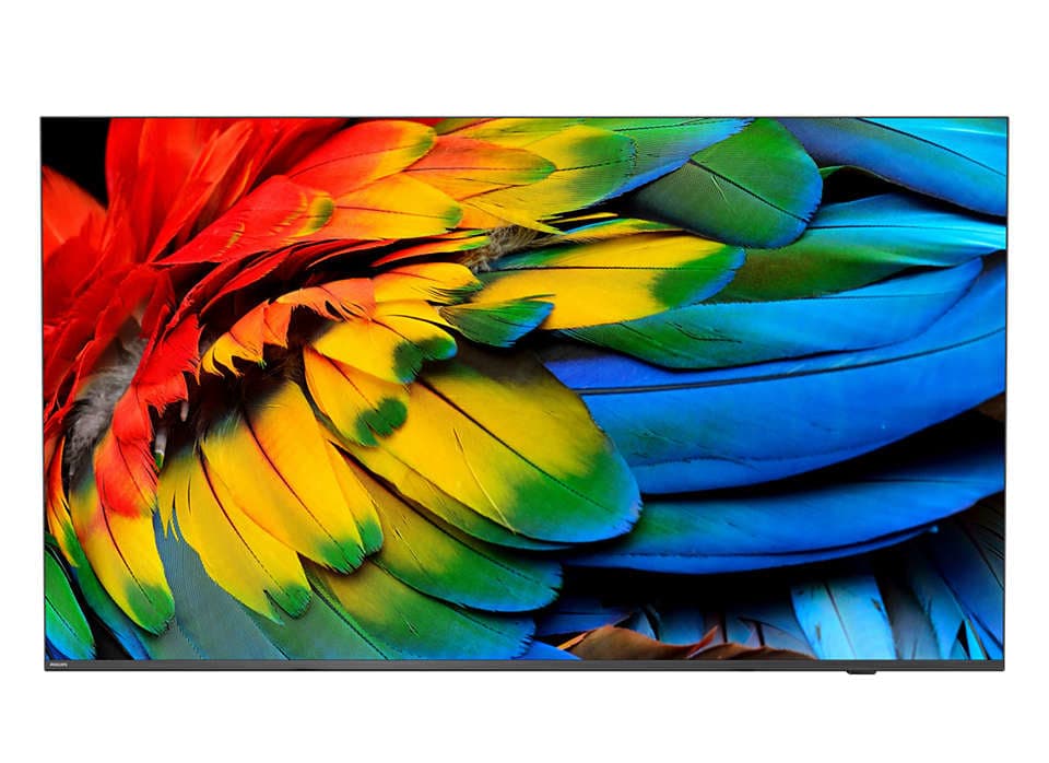 Philips 43HFL6214U 109,2 cm (43") 4K Ultra HD Smart TV Wi-Fi Antracite 400 cd/m² Ecrã de enrolar