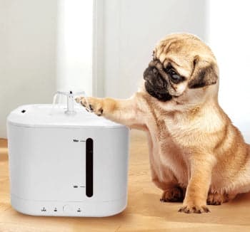 BEBEDOURO NOBLEZA SMART EATER FOUNTAIN P/ ANIMAIS 2.5L S40101N34