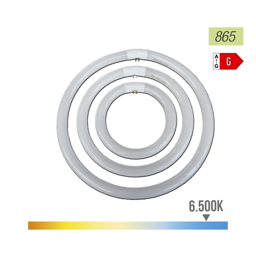 TUBO CIRCULAR FLUORESCENTE 32W Ø30CM TRIFÓSFORO 6500K LUZ FRIA PH