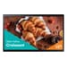 Samsung 24" QB24C-T/QB24R-RT Display Interativo Touchscreen Full HD