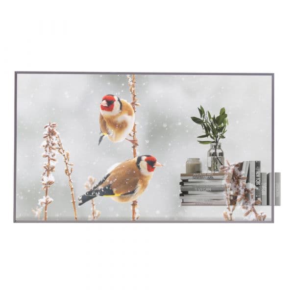 LG 55" 55EW5P-M OLED Monitor Videowall Full HD Transparente