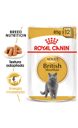 Ração Húmida Royal Canin British Shorthair Kitten Cat Wet 85g