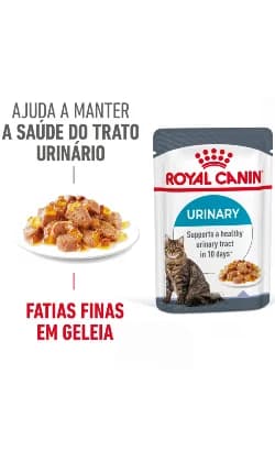 Ração Húmida Royal Canin Urinary Care em Geleia 12 x 85g