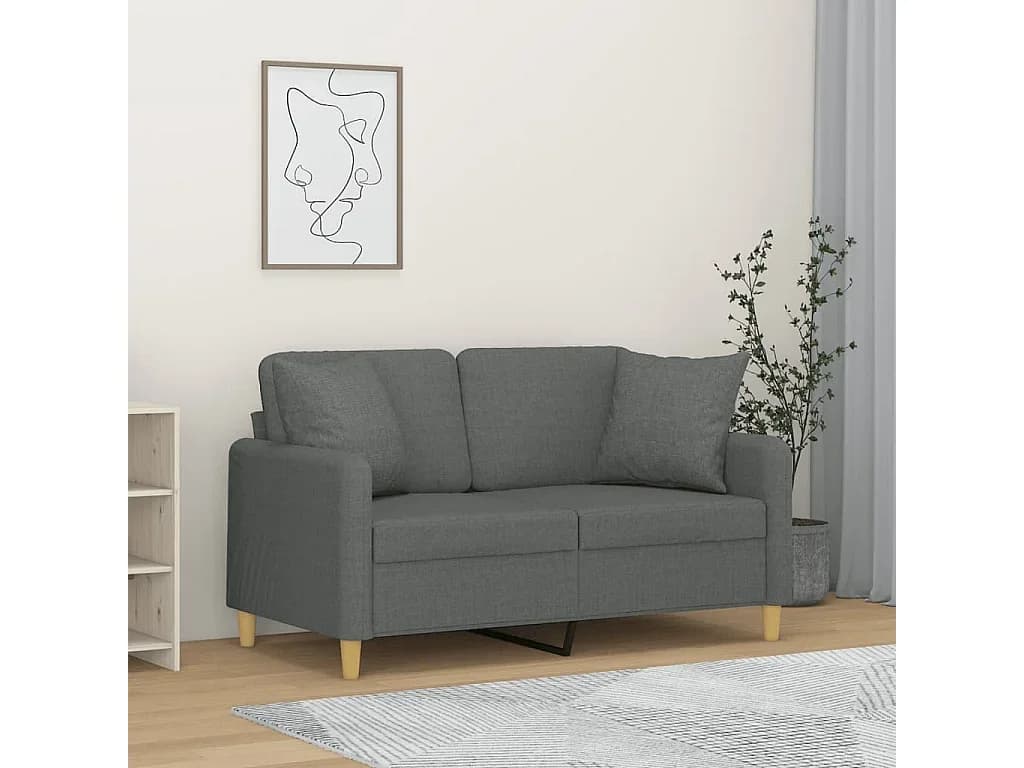Sofá 2 lugares +almofadas decorativas 120cm tecido cinza-escuro PT319440