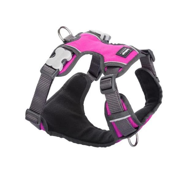 Red Dingo Arnês Acolchoado Padded Hot Rosa S