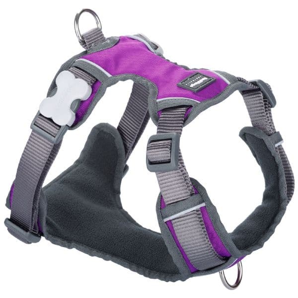 Red Dingo Arnês Dingo Roxo 30-47 cm 37-52 cm S
