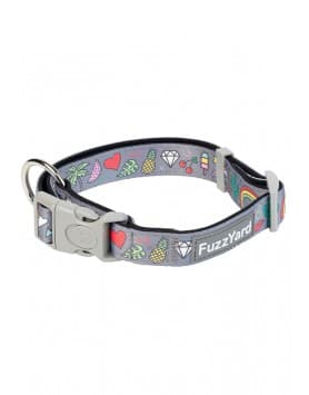 FuzzYard - Coleira de Neoprene para cão - Coachella