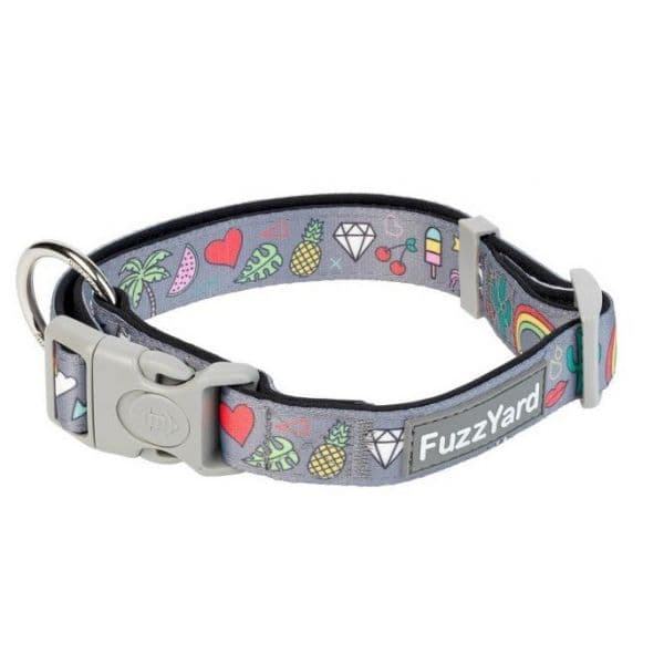FuzzYard Coleira Coachella L