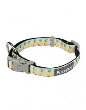 FuzzYard - Coleira de Neoprene para cão - Piña Colada
