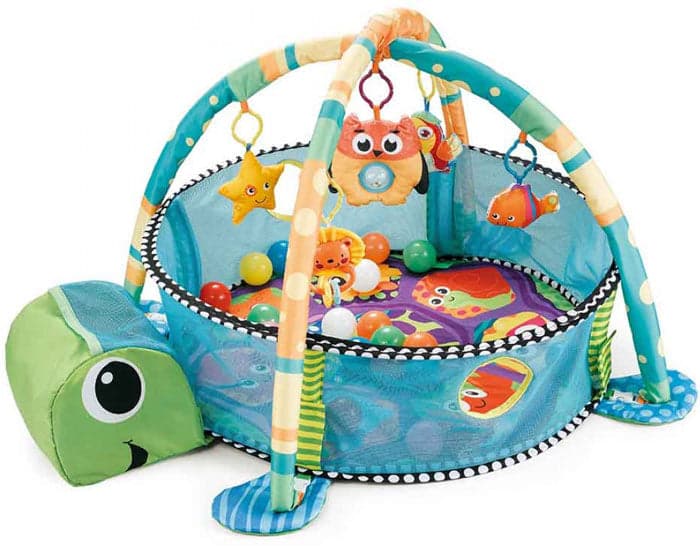 Ginásio Cangaroo Sea Turtle