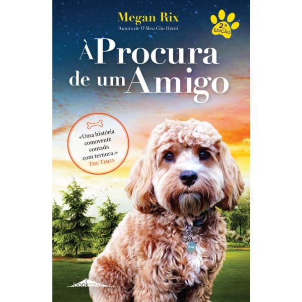 À Procura de um Amigo