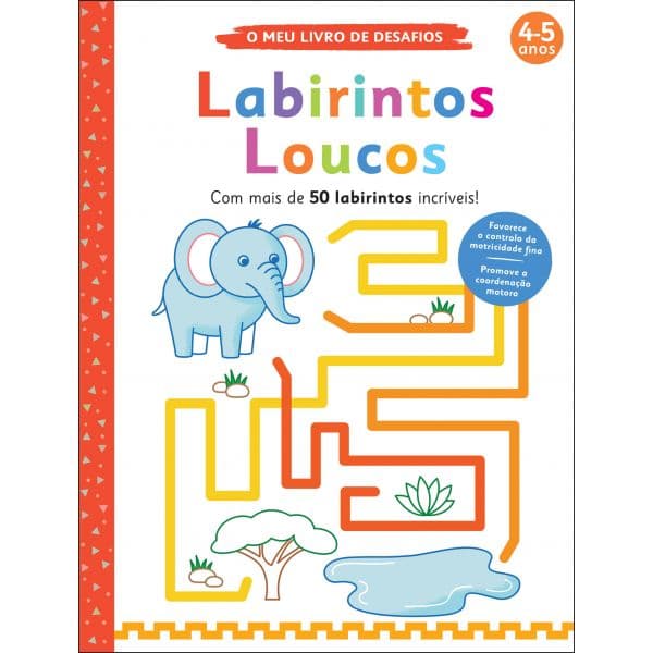 o Meu Livro de Desafios: Labirintos Loucos