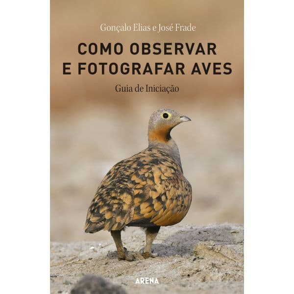 Como Observar e Fotografar Aves
