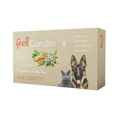 Feelcondro 1500mg Comprimidos Palatáveis Cão 30 Comprimidos