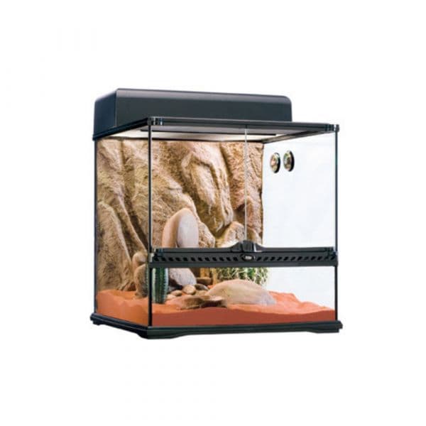 Exo Terra Kit Habitat Terrário Desértico 60l