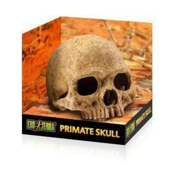 Exo Terra Refúgio Primate Skull - PT2926