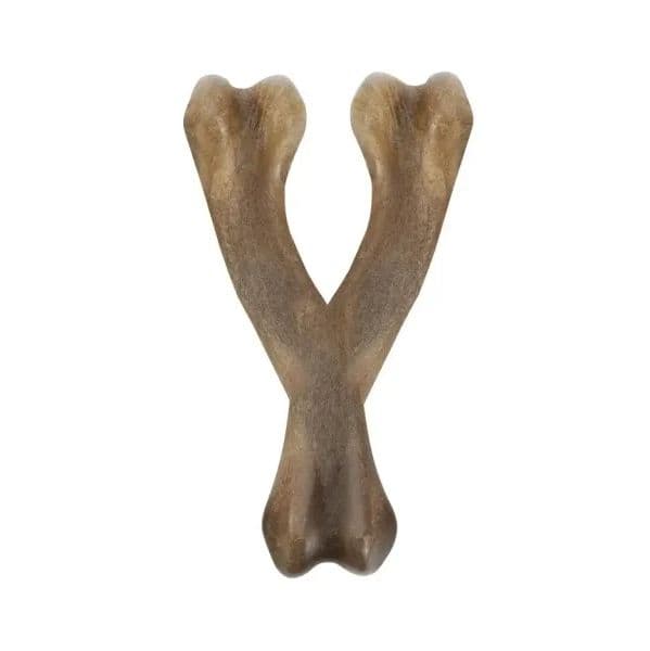 Zeus Osso Strong Nosh Wishbone Y Sabor a Frango 11 cm