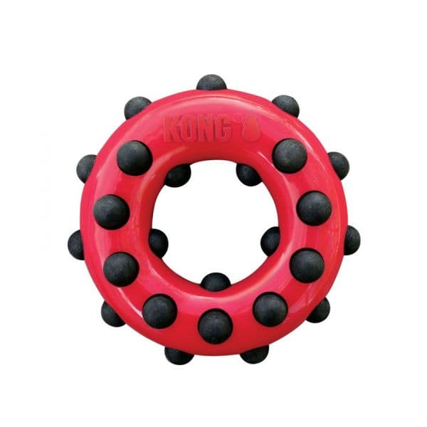 Kong Brinquedo Cão Dotz Circle L