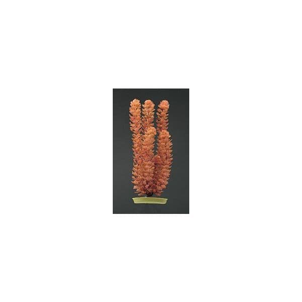 Marina Aquascaper Peq. Cola Zorro 12,5 cm