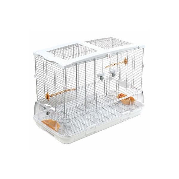 Hagen Gaiola Vision L L11
