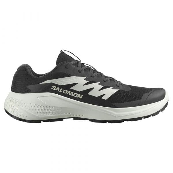 Salomon Sapatilhas de Trail Running Alphaglide Black / Phantom / Icicle 44 2/3