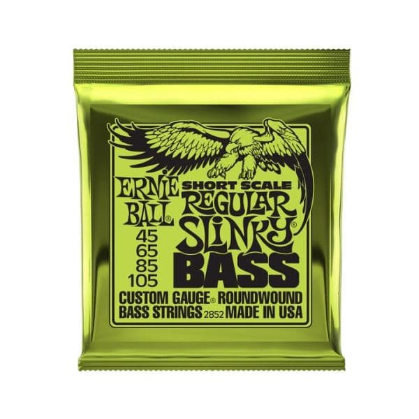 Ernie Ball 2852 Regular Slinky Short