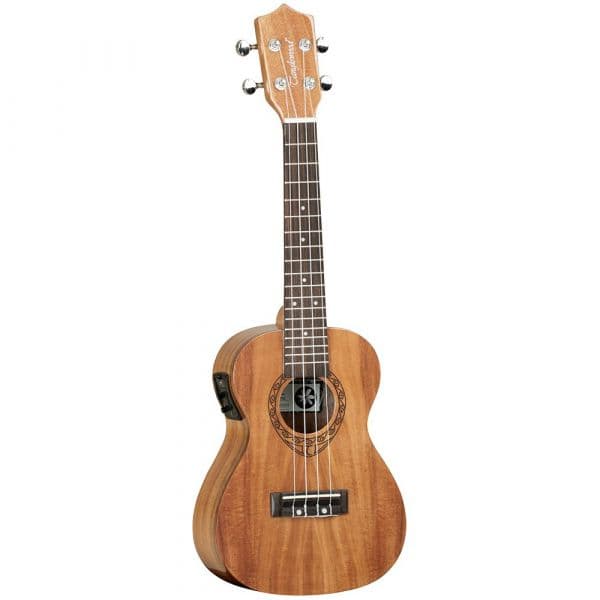 Tanglewood TWT 8 E