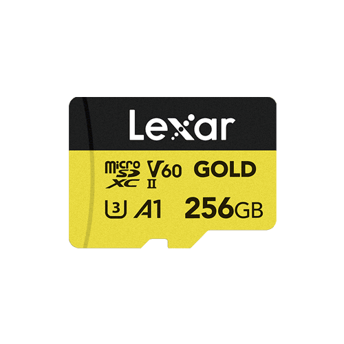 Lexar 256GB MicroSDXC Professional Gold Series UHS-II A1 C10 U3 V60 LMSGOLD256G-BNNNG