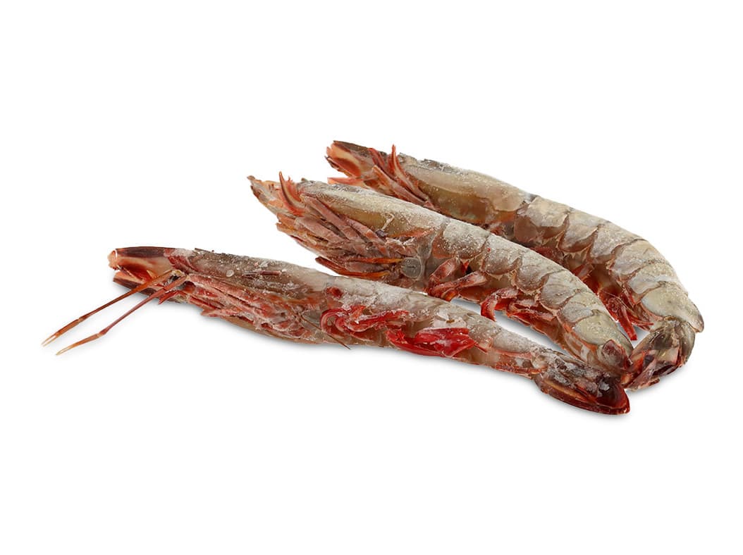 CAMARÃO SELVAGEM MADAGÁSCAR AUCHAN CULTIVAMOS O BOM U/10 CONGELADO KG