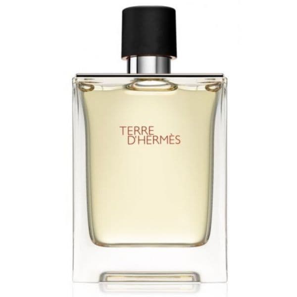 Hermès Terre D'Hermès Man Eau de Toilette 100ml (Original)