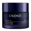 PREMIER CRU o creme antienvelhecimento global rico