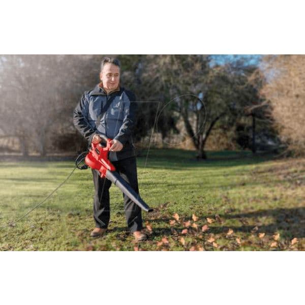 Einhell Soprador e Aspirador Eléctrico Gc-el 3000 E