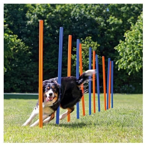 Trixie Slalom Agility - TX3206