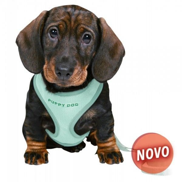 Trixie Peitoral com Trela Soft para Cachorro Junior (menta)