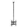 Suporte Parede EQUIP - 650321