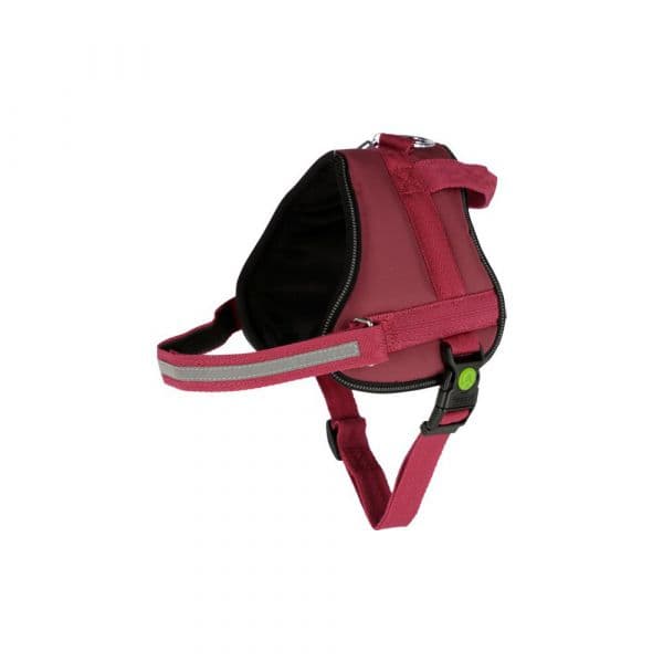 Kerbl Peitoral Maestro 2.0 para Cão - 57-77cm, Vermelho (12502546)