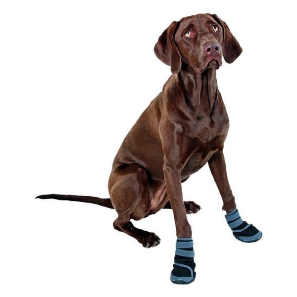 Kerbl Proteção Active para Patas M