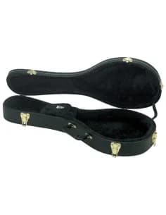 Case for Mandolin Premium