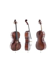 Concert cello Meister Rubner