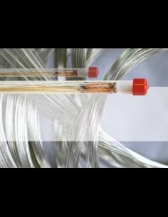 Violin strings IL CANNONE