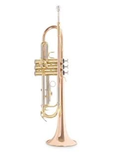 Bb-Trumpet Roy Benson TR-202G